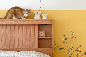 봄이니까 화사하게! 옐로우 컬러 셀프페인트 리뷰 모음