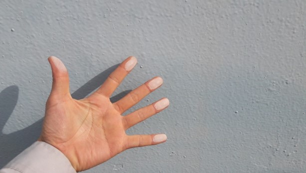 백야화 (Chalking)