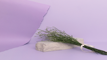 Colors of May: #Bamsanchaeksaek and #Boratbithyanggisaek