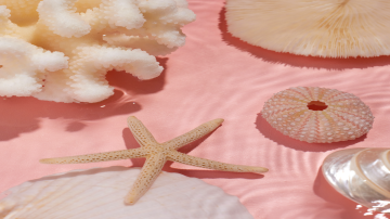 Colors of August: #Badasanhosaek and #Cheongpodosaek