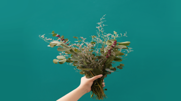 Colors of November: #Gipeunsupsaek and #Kkumkkuneunbamsaek